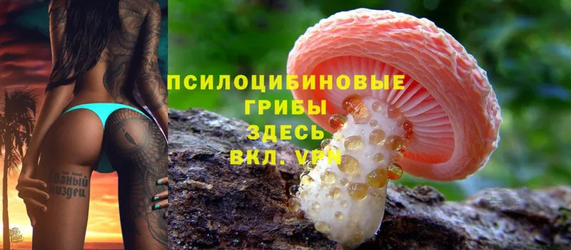 Галлюциногенные грибы Magic Shrooms  где можно купить   Гулькевичи 